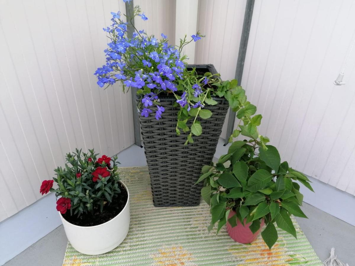 City Centre Apartment Siilinjaervi מראה חיצוני תמונה